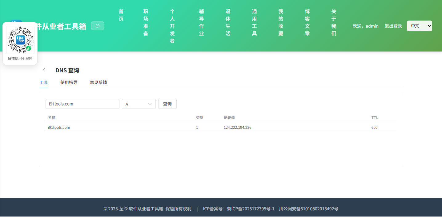 DNS 查询 使用截图