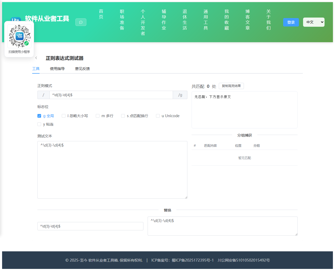 正则表达式测试器 使用截图